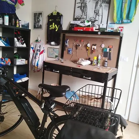 Touring Wellness & Beauty פיוג'י